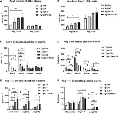 Physical Activity and Inhibition of ACE Additively Modulate ACE/ACE-2 Balance in Heart Failure in Mice